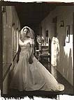 Wedding Portraits